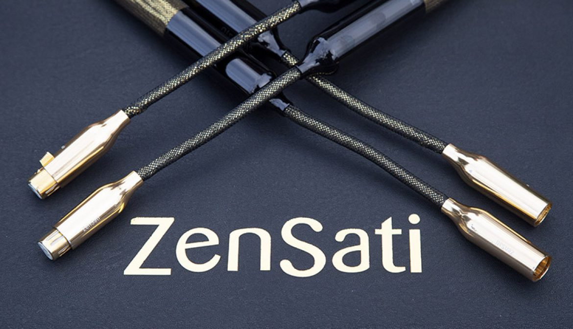 ZenSati sILENzIO XLR and RCA Interconnect cable